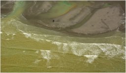 baie de somme_1